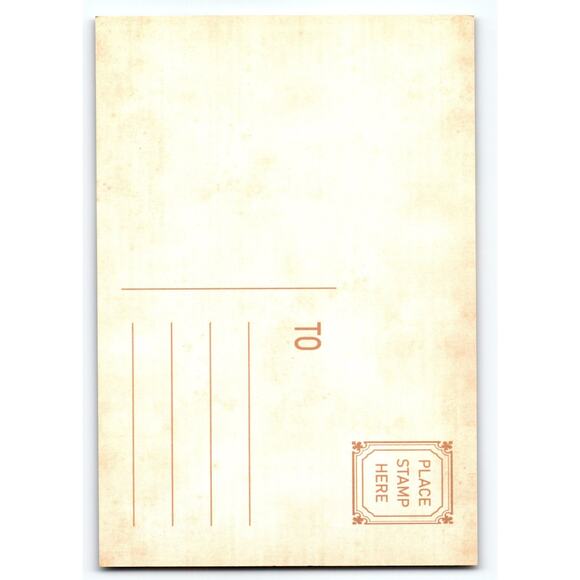 Vintage Halloween Postcard Black Cat Silhouette in Forest Scene 5.5x4 - Picture 2 of 2